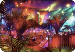 Ambiance tropicale et ponton bois